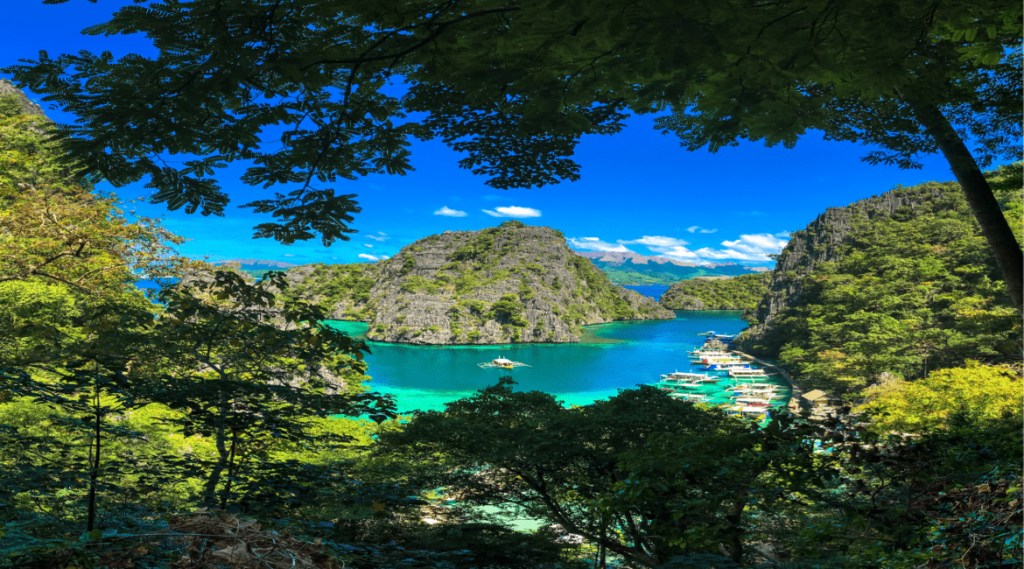 Project in Coron, Palawan